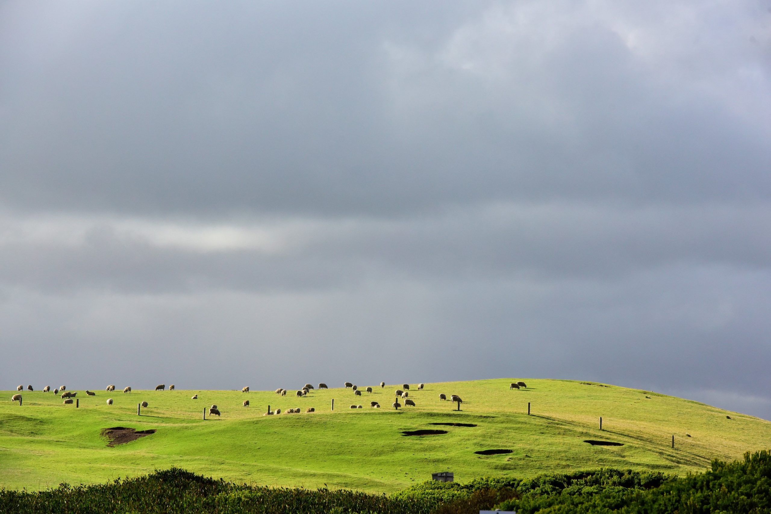Corangamite - near 12 Apostles