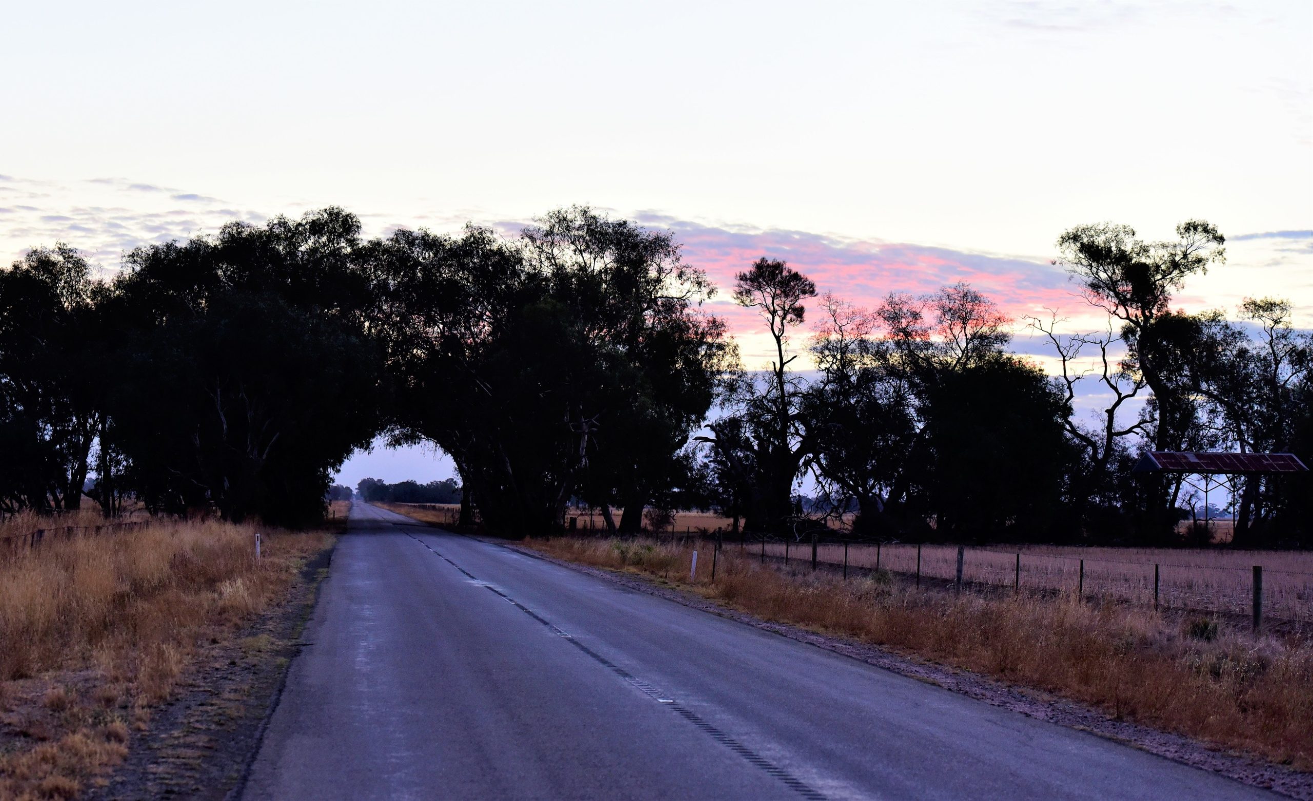 Road near mitiamo