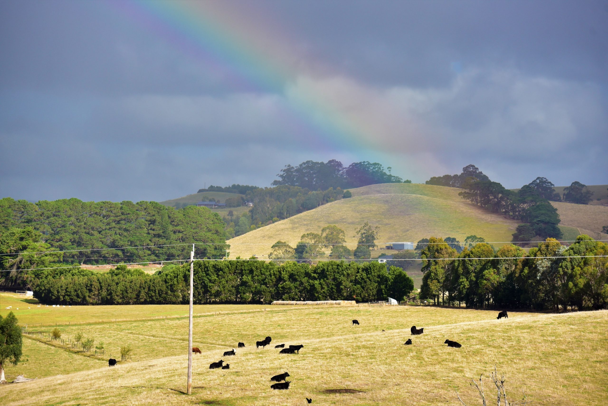 South Gippsland 13